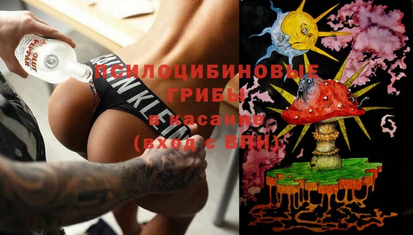 МДПВ Бугульма
