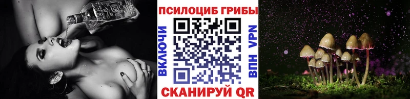 KRAKEN зеркало  где найти   Курган  Псилоцибиновые грибы мухоморы 