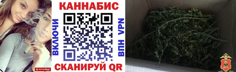 даркнет как зайти  Курган  МАРИХУАНА ГИДРОПОН  omg зеркало 